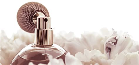 diferencia eau de toilette y eau de perfume|que es el mejor eau de toilette.